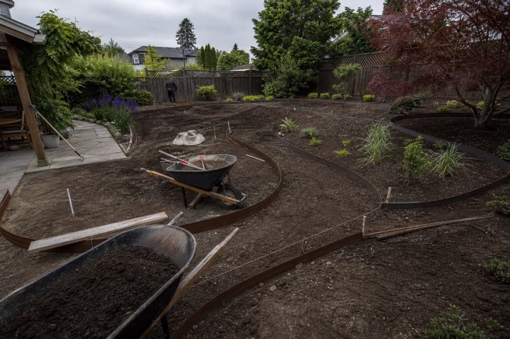 Garden bed layout in progress: steel edging curves and dark soil beside lawn.
