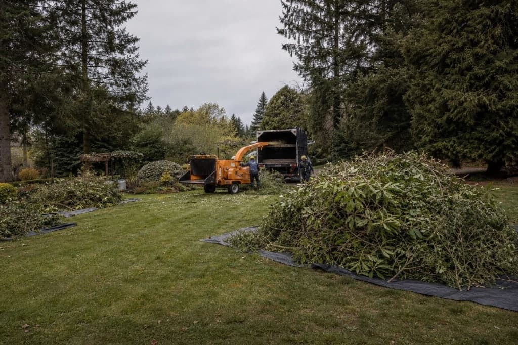 Large-scale property cleanup with chip truck, tarps on the lawn, and crew working.